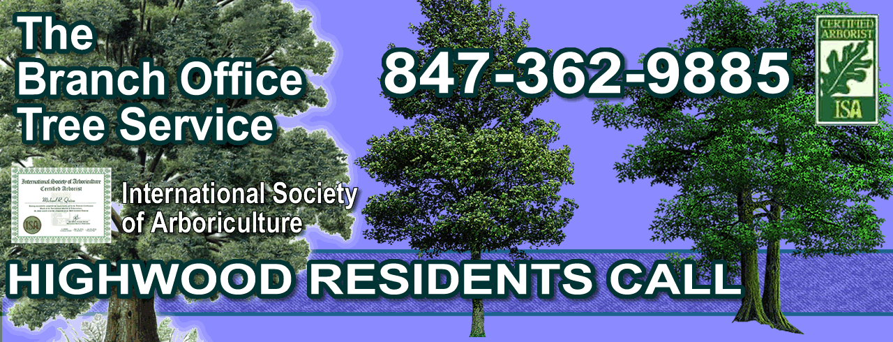 Tree Trimming Excellence in Highwood Serving Homeowners and Businesses
