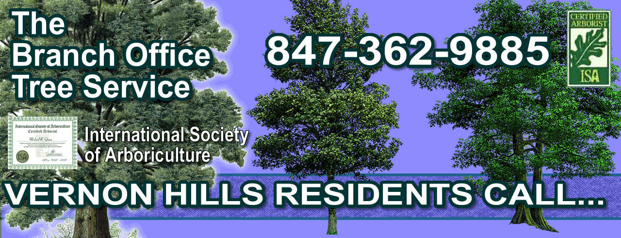 Vernon Hills Tree Trimming and Maintainance