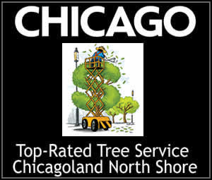 tri tbo tree service 2 2
