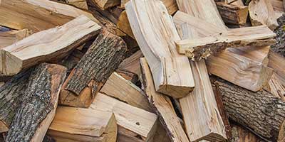 The Branch Office Tree Service - Winnetka - Emergency Tree Services